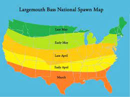 Check spelling or type a new query. Top 6 Locations To Target Bass During The Spawn Hunting And Fishing Depot