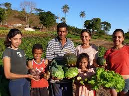 O trabalhador rural está à frente de um dos setores mais pujantes da economia brasileira: Hoje Dia Da Agricultura Familiar E Da 2Âª Maior Empresa Do Mundo O Agro Nacional Cabeca De Lider