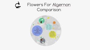 Flowers For Algernon Comparison By Lexie Hastings On Prezi