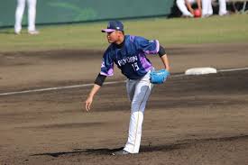 プロ 野球 参入 しそう な 企業