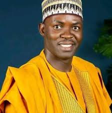 Adamawa State Local Government Election Outlook