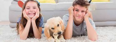 Maybe you would like to learn more about one of these? Ct Professional Cleaning Services South Windsor Ct Insured Bonded Carpet Cleaning Office Cleaning Upholstery Cleaning Admiral Cleaning Maintenance