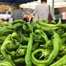 We have a huge free dvd selection that you can download or stream. Italian Long Sweet Chile Peppers Information Recipes And Facts