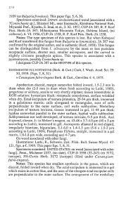 Image result for Trachypogon chevalieri