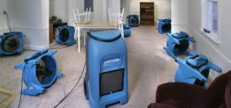 Maybe you would like to learn more about one of these? Wet Carpet Cleaning And Drying Service In Toronto And The Gta