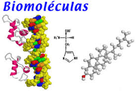 214 - Moléculas orgánicas