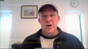 Historically bad year for dolphin strandings