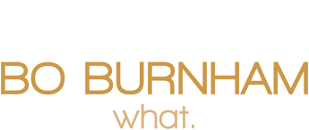 (used interrogatively to inquire as to the origin, identity, etc., of something): Bo Burnham What Netflix
