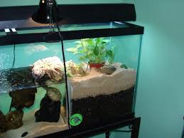 Graphic Turtle Tank Turtle Habitat Turtle Terrarium