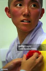 216 Blood Red Rose Stock Photos, High-Res Pictures, and Images