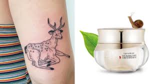 We asked dermatologists and tattoo artists to weigh in on whether snail slime is a good tattoo aftercare product. Can Snail Slime Be Used As Tattoo Aftercare Derms And Tattoo Artists Weigh In Allure