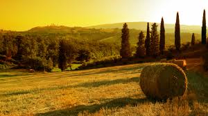 Ideas, inspiration and travel tips for your next holiday in italy. Italy Ramboll Group