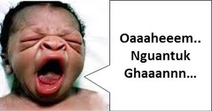  Gambar Ekspresi Lucu Komentar Facebook Lucu Funny Gambar Lucu