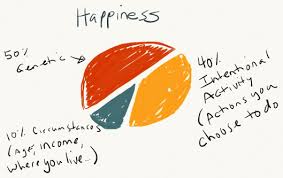 optimism happiness pie chart stellar life coaching