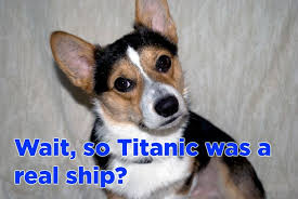 10 Corgis Who Didn T Know The Titanic Was Real Corgi Titanic Animals