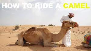 While on a tour of the desert i got chance to ride a camel,my first time and in such a beautiful place. Khalid Al Ameri How To Ride A Camel Ramadan Show 2018 Facebook
