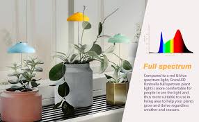 We did not find results for: Amazon Com Growled Led Umbrella Plant Grow Light Herb Garden Height Adjustable Automatic Timer Ul Adapter Included Ideal For Plant Grow Novice Or Enthusiasts Various Plants Diy Decoration Neo Mint Green Home Improvement