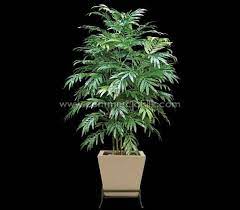 Bring Good Luck To Your Interiors This Chinese New Year Trees To Plant Plant Installation Artificial Trees