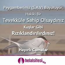 Peygamberimiz Hz Muhammed S A V Buyurdular Ki Hakiki Bir Tevekkule Sahip Olsaydiniz Kuslar Gibi Riziklandirilirdiniz Hadis I Serif Allah Serif Kus