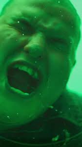 Netta Barzilai's Fun Transformation Journey