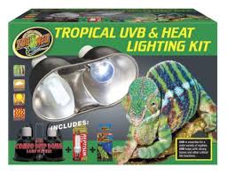 Green Iguana Zoo Med Laboratories Inc