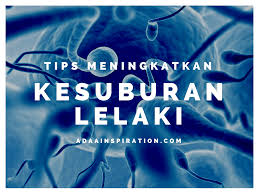Beragam manfaat asam folat untuk pria. Tips Meningkatkan Kesuburan Lelaki Adaa Inspiration