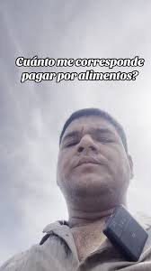 Cuánto me corresponde pagar por alimentos? #firmalegal #estudiojuridic...