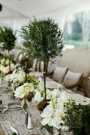 Green Table Decor Tree Centrepiece Wedding Flower Centerpieces Wedding Topiary Wedding