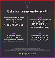 Some of these challenges particularly affect the lgbtq+ community. Forward Thinking Addressing Threats To Lgbtq Youth Safety And Security Msw Usc