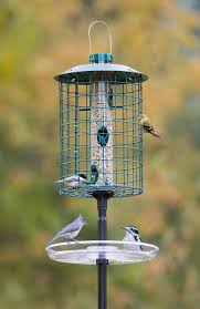 Best Bird Feeders For Small Birds Deluxe No Waste Feeding System Pole Mounted Feeding Station Bird Feeders Small Birds