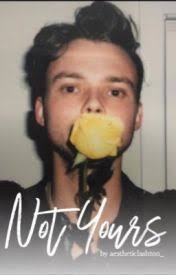 Sweet Summer Sunsets- A Robert Irwin FanFic