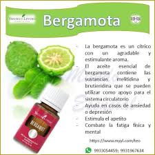 Aceite Esencial Bergamota 100 Puro Young Living Oils Fruit