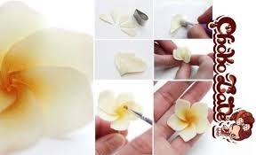 Pin On Gum Paste Fabulous