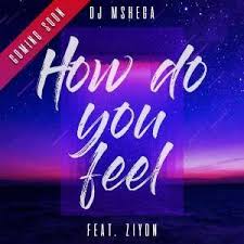 Dj Mshega How Do You Feel Feat Ziyon New Afro House Music Afro House 2019 Datafilehost House Music Durban Hou How Are You Feeling Do You Feel Feelings