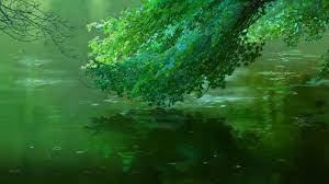 Swampwater is a free live wallpaper that creates a living, microscopic world right in your phone. Download The Garden Of Words Rainy Pool Wallpaper Engine Free Download Wallpaper Engine Wallpapers Free