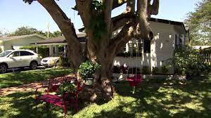 We did not find results for: Permit Problems Cutting Down A Tree Youtube