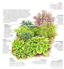 Shady Woodland Garden Voorbeeldje Van Structuur Ik Ben Zelf Niet Zo Zot Van Hosta S Maar Eentje Ertusse Shade Landscaping Shade Garden Plants Shade Garden