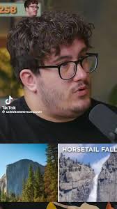 Caleb Hammer Dog Put Down