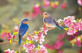 ÎÏÎ¿ÏÎ­Î»ÎµÏÎ¼Î± ÎµÎ¹ÎºÏÎ½Î±Ï Î³Î¹Î± ÎÎÎÎÎ¡ÎÎÎÎ