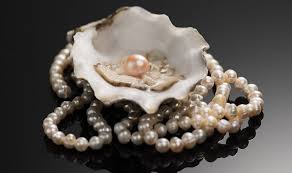 Mother of Pearl Vs. Pearl: Unveiling the Key Differences Angara