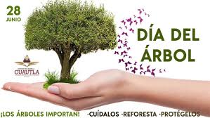 El día mundial del árbol fue instaurado por el congreso forestal mundial en 1969 para conmemorar la importancia de los árboles como elementos esenciales en la tierra. Jesus Corona Damian On Twitter Hoy 28 De Junio Se Celebra El Dia Mundial Del Arbol Con El Objetivo De Recordar Su Importancia En El Equilibrio De La Naturaleza Sigamos Sembrando Para