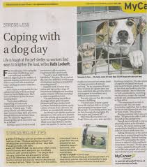 Report your missing pet to stl lost pets. Lost Dogs Home Staff Share Their Thoughts On Coping With Stress In The Age S Mycareer