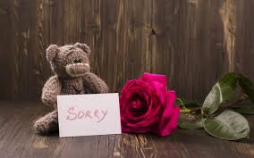 Check spelling or type a new query. Top Apology Flowers That Says I M Sorry 5 Best Things