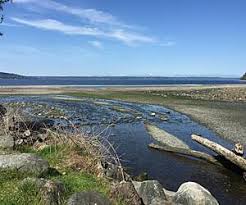 View detailed trail descriptions, trail maps, reviews, photos, trail itineraries, directions and more on traillink. Puyallup Washington Trails Trail Maps Traillink