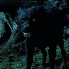 Nick clegg wants some harry potter magic at the lib dem conference this week. Hunter Blew A Bit Of Black Hair Newly Dyed Out Of Her Face Description From Hexrpg Com I Searched For Sirius Black Dog Harry Potter Dog Harry Potter Sirius