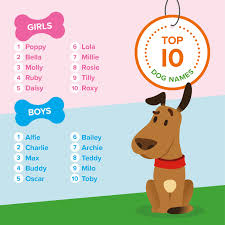 Some of the popular names of the year, i have listed below. Boys Dog Names