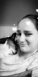 Missing cat Zeus, last seen