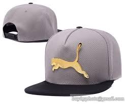Puma Iron Standard Hip Hop Snapback Hat Gray 8 90usd Snapback Hats Hip Hop Cap Hats