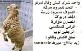 Pin By Fatima On ضحك Novelty Sign Photo Novelty