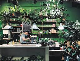 Google has many special features to help you find exactly what you're looking for. 5 Plant Themed Cafes And Restaurants In Klang Valley For A Slice Of Nature Options The Edge